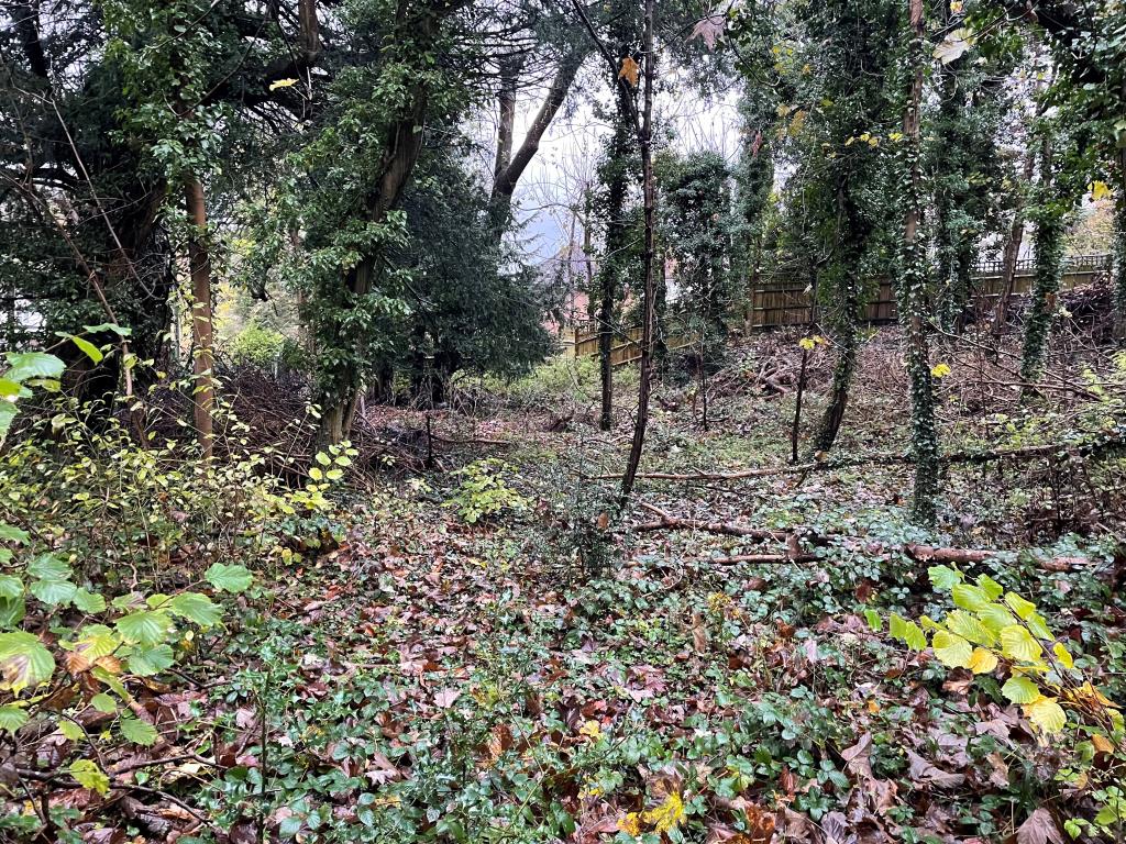 Lot: 41 - JUST OVER TWO ACRES OF WOODLAND WITH POTENTIAL - Sloping woodland area